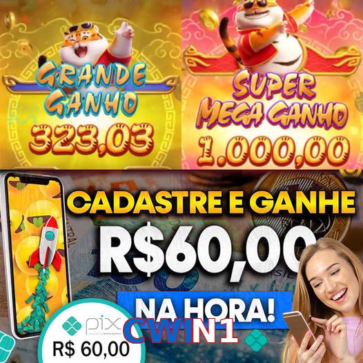 CWIN1