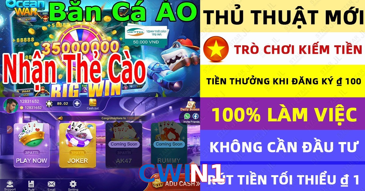CWIN1