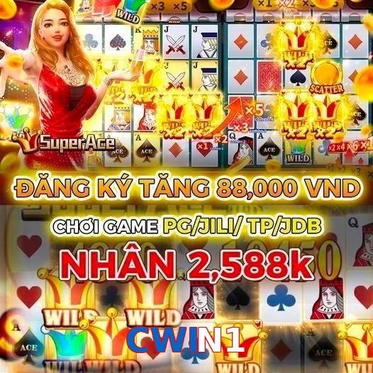 CWIN1