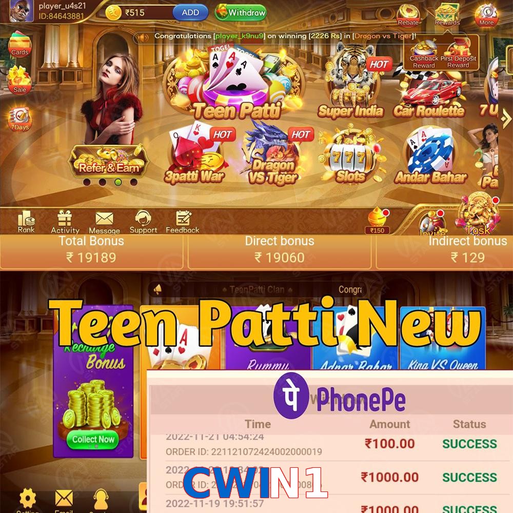 CWIN1